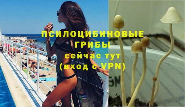 мескалин Гусь-Хрустальный