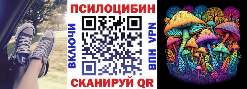 сколько стоит  Комсомольск-на-Амуре  Псилоцибиновые грибы MAGIC MUSHROOMS 